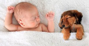 Raising Babies vs Feeding Puppies: The Costs of Parenthood
