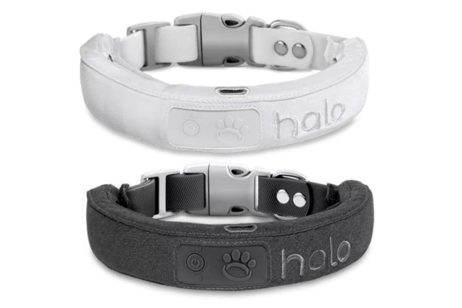 The Halo Dog Collar